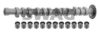 SWAG 30 93 3198 Camshaft Kit